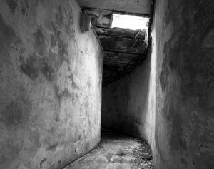 tunnel vision lnd sm.jpg